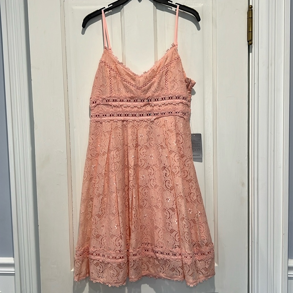 NWT NSR Nordstrom pink floral lace dress.